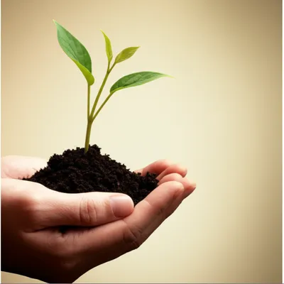 Illustration advance - Image 1