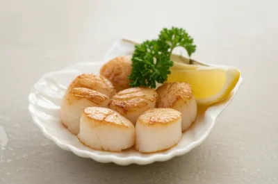 Illustration scallops - Image 1