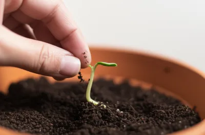 Illustration cradle - Image 1