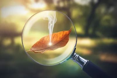 Illustration foci - Image 1