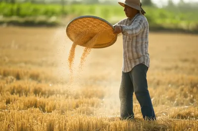 Illustration fan - Image 1