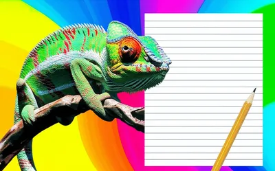 Illustration rephrases