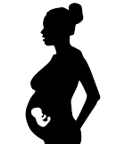 Illustration prenatal - Image 2