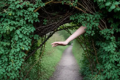 Illustration hinders - Image 2