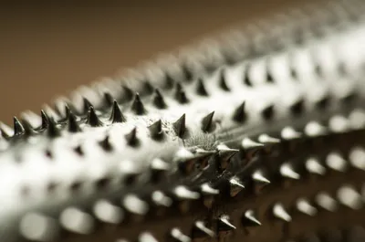 Illustration rasps - Image 1