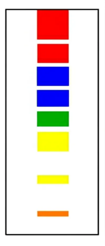 Illustration band - Image 1