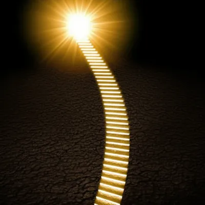 Illustration raises - Image 1