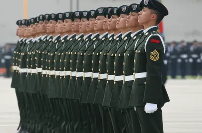 Illustration attention - Image 1