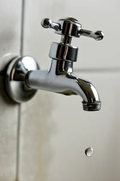 Illustration cocks - Image 1