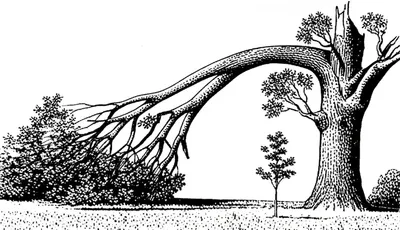 Illustration abate - Image 1