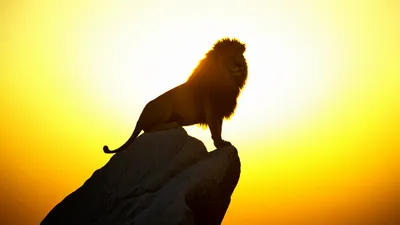 Illustration atop - Image 1