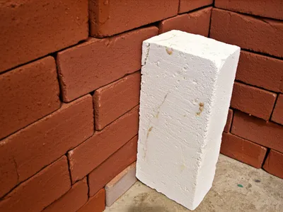 Illustration callow - Image 1