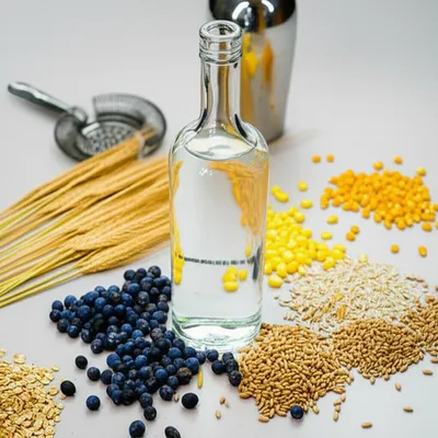 Illustration gin - Image 1