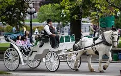 Illustration turnout - Image 2