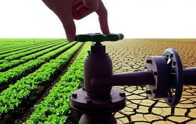 Illustration regulators