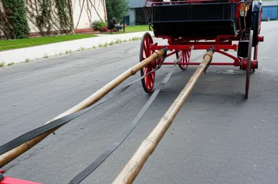 Illustration sills - Image 1