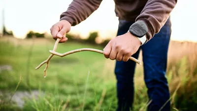 Illustration divining - Image 1