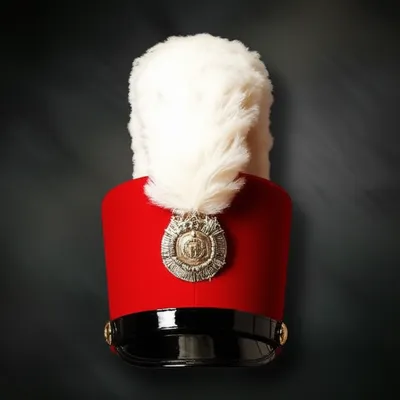 Illustration shako - Image 1