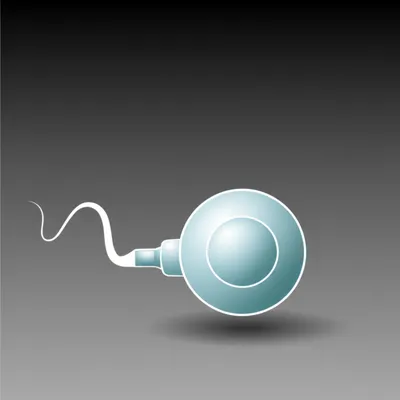 Illustration breeding - Image 1