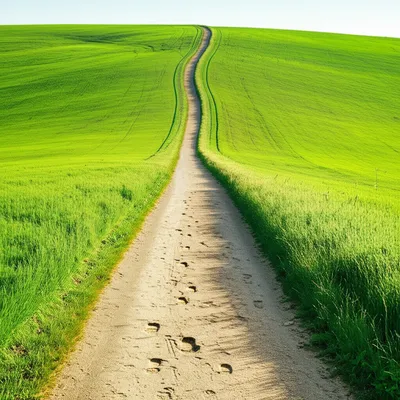 Illustration mileage - Image 1