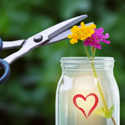 Illustration cut - Image 1