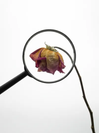 Illustration cases - Image 1