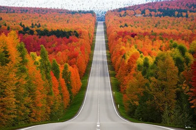 Illustration continuation