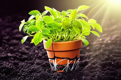 Illustration thrifts - Image 1