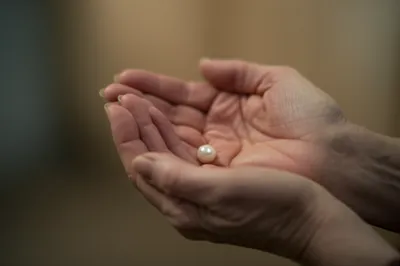 Illustration pearls - Image 1