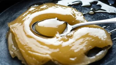 Illustration congeals - Image 1