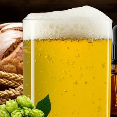 Illustration yeasts - Image 1