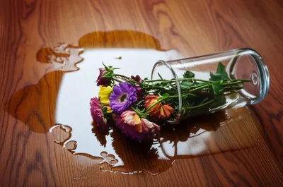 Illustration spills - Image 1