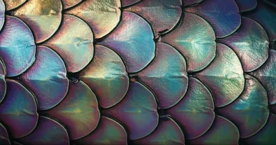 Illustration flake - Image 1