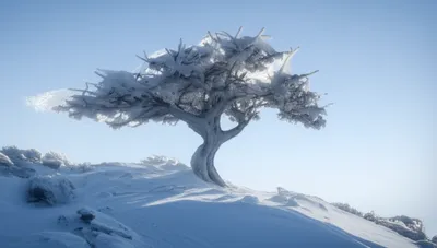 Illustration keen - Image 1