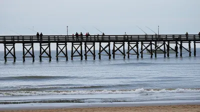 Illustration shores - Image 1