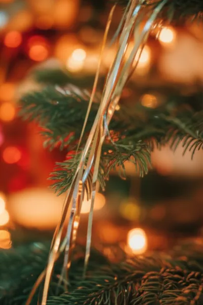 Illustration tinsel - Image 1