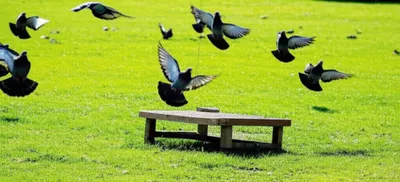 Hình ảnh minh họa stool - Ảnh 1