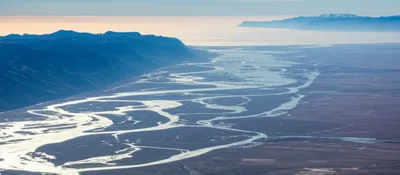 Illustration reaches - Image 1