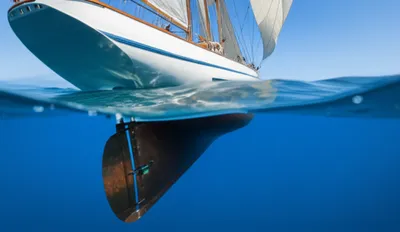 Illustration gripes - Image 1