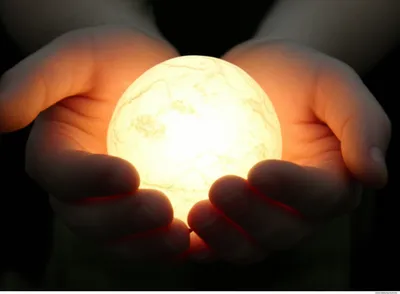 Illustration palms - Image 1