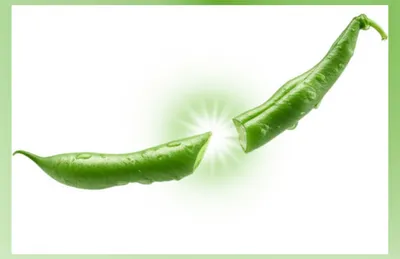 Illustration snappers - Image 1