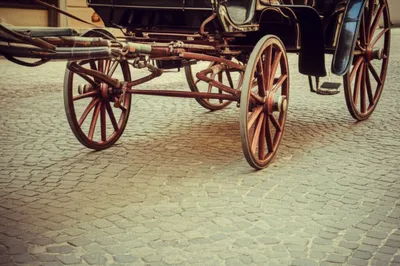 Illustration gathers - Image 1