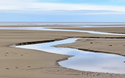 Illustration ebb - Image 1