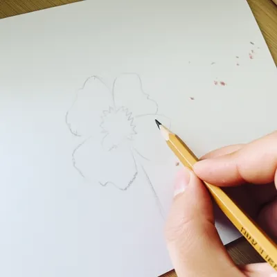 Illustration penciled - Image 1