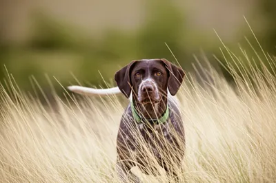 Illustration stands - Image 1