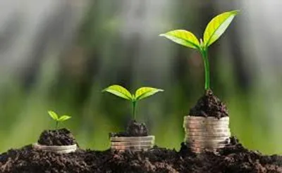 Illustration economical - Image 2