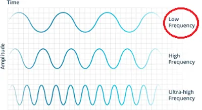 Illustration bass - Image 2