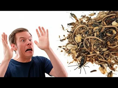 Hình ảnh minh họa abhor - Ảnh 1