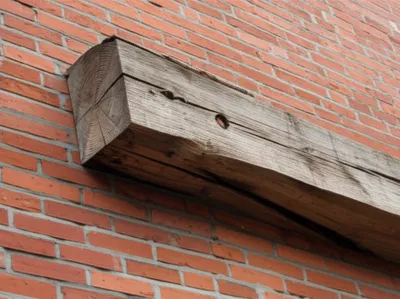 Illustration tailing - Image 1