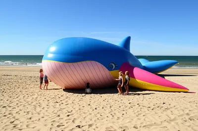 Illustration beached - Image 1